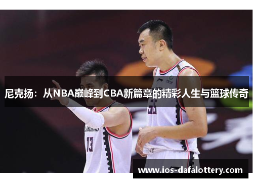 尼克扬：从NBA巅峰到CBA新篇章的精彩人生与篮球传奇